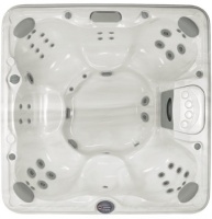 Спа бассейн Sundance Spas Hartford